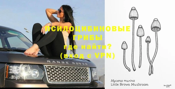 прущая мука Фёдоровский