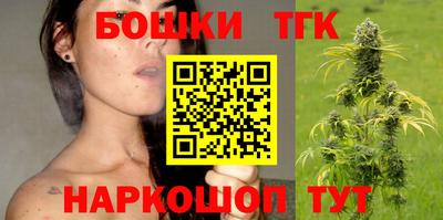 сатива Кандалакша