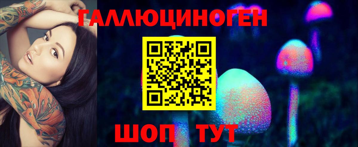 Псилоцибиновые грибы Psilocybine cubensis Иркутск
