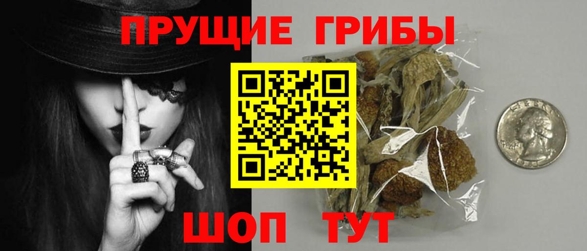 Галлюциногенные грибы Magic Shrooms  Галлюциногенные грибы Cubensis  Иркутск  Вход с VPN 